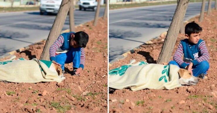 ragazzo rimane vicino al cane investito