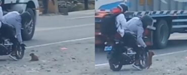 Motociclista si ferma e salva un cane randagio in difficoltà. La scena è tenerissima