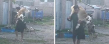 uomo con cane in braccio