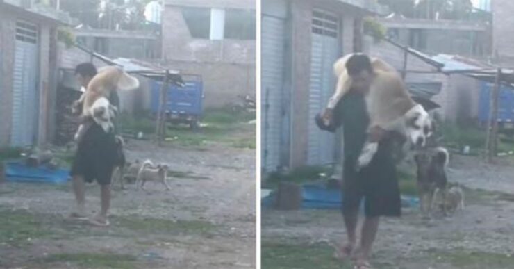 uomo con cane in braccio