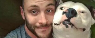 Pubblica una foto con il suo cane, ma poco dopo si ritrova la polizia a casa