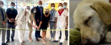 L'ospedale dove i pazienti possono abbracciare i loro cani