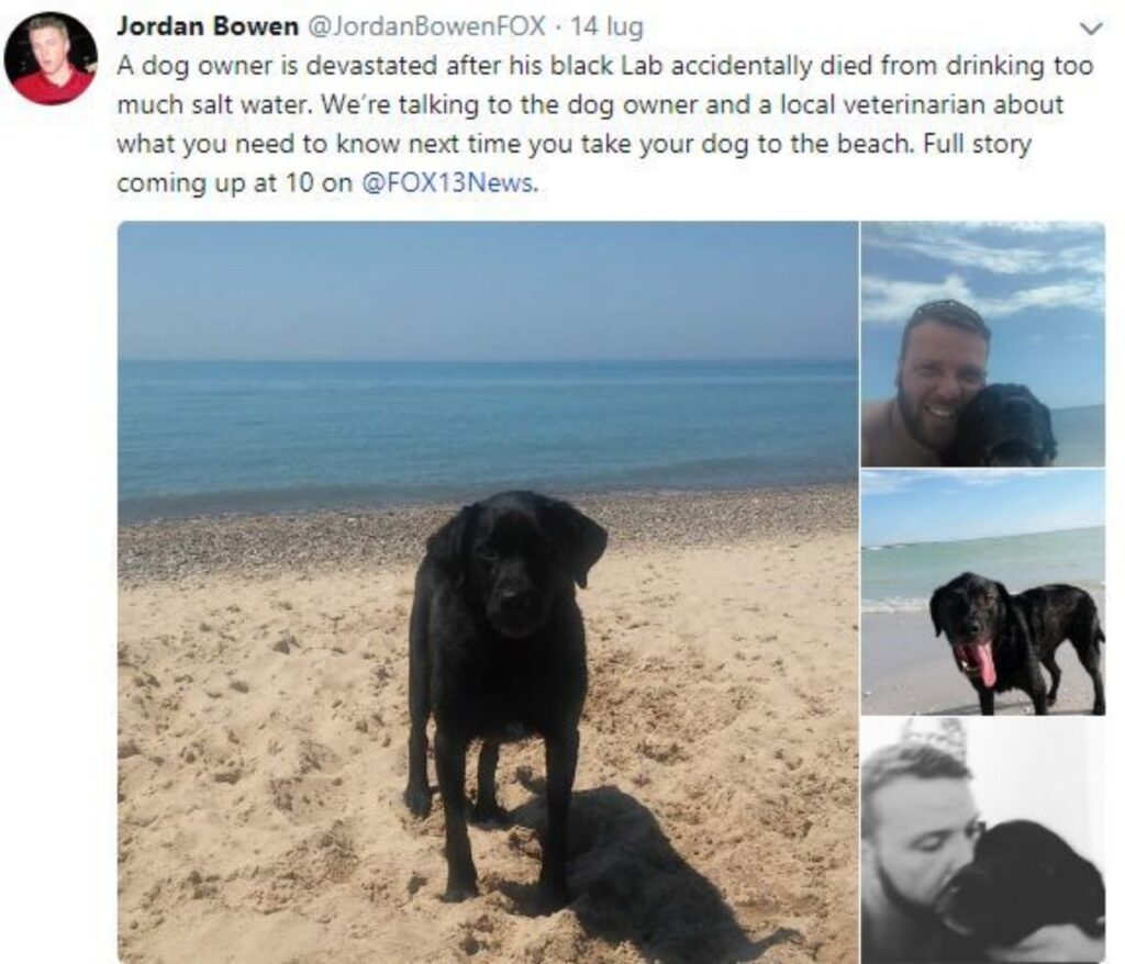 post per la morte del cucciolo di Chris