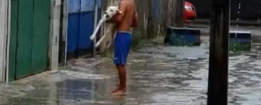 Porta il suo cucciolo paraplegico a vedere la pioggia, che tanto ama (VIDEO)