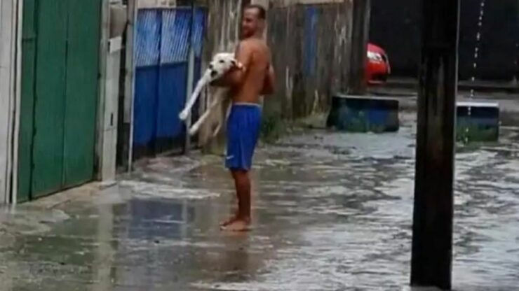 Porta il suo cucciolo paraplegico a vedere la pioggia, che tanto ama (VIDEO)