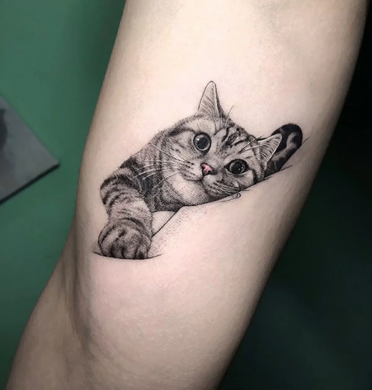tatuaggio gattino