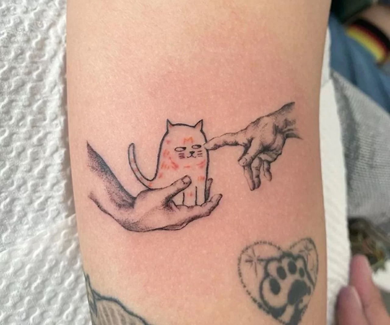 tatuaggio gattino