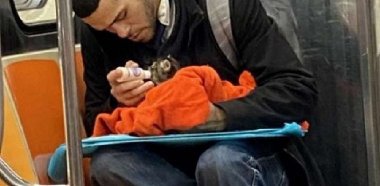Un uomo allatta con il biberon un piccolo gattino in metropolitana