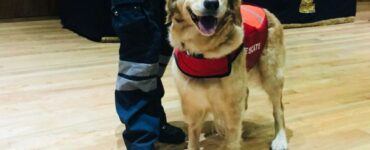 È volata in cielo Nalah, il cane soccorritore sempre felice e amato da tutti