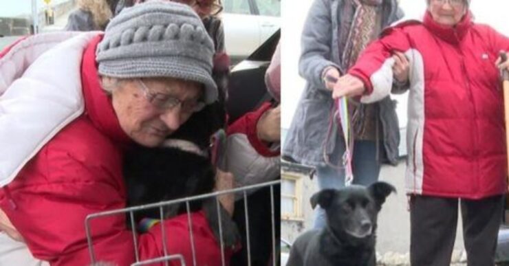 anziana con cagnolino