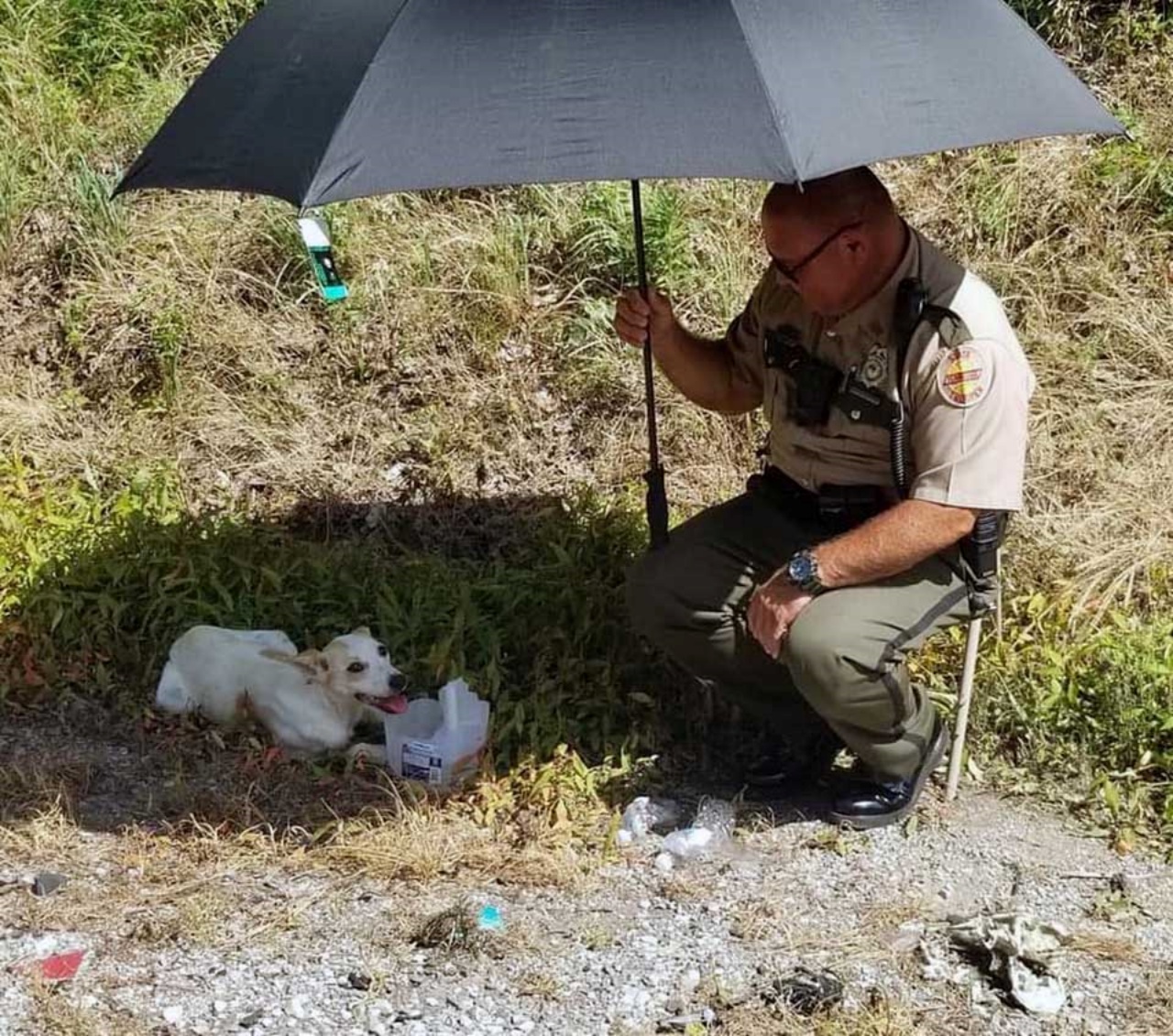 poliziotto fa ombra a un cane in strada