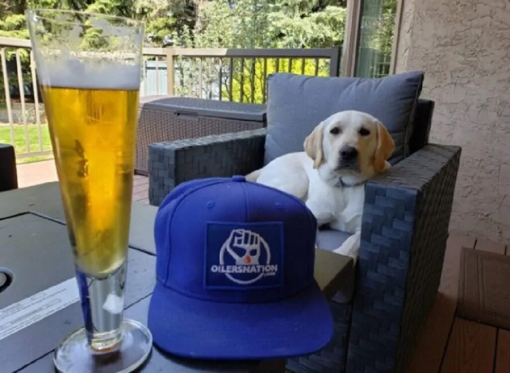 cane birra e cappello