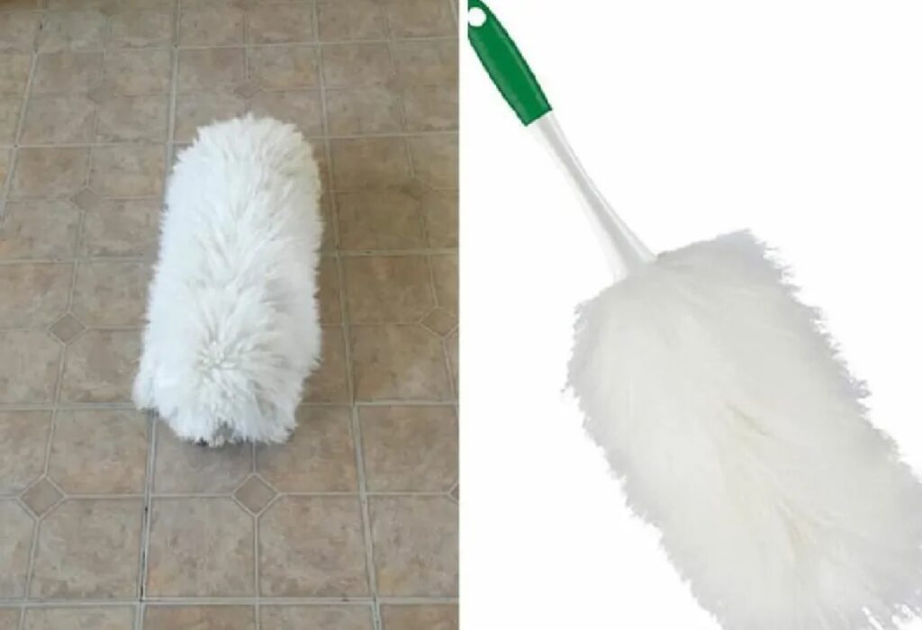 cane pelo come spolverino