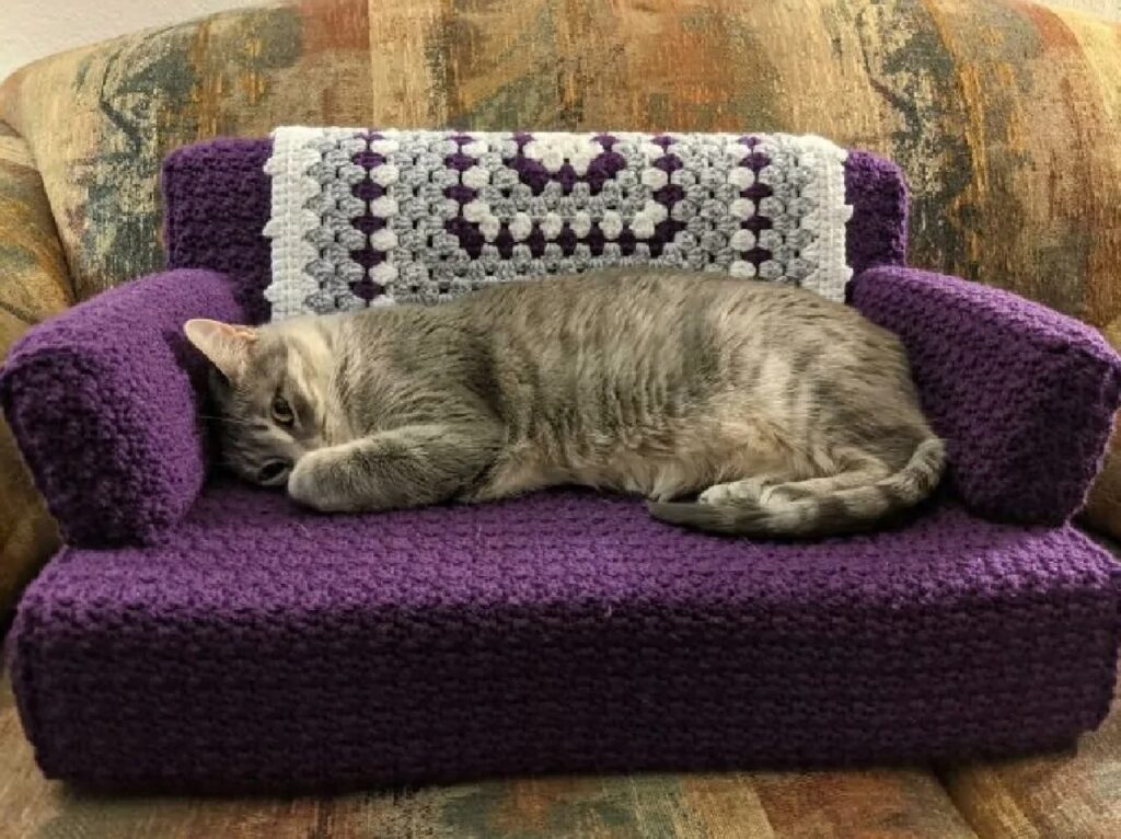 gatto divano su misura