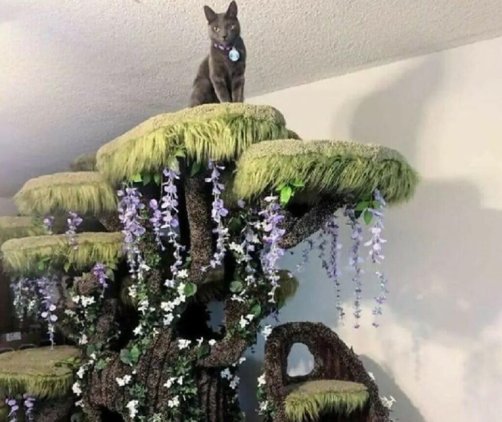 gatto albero fantasioso
