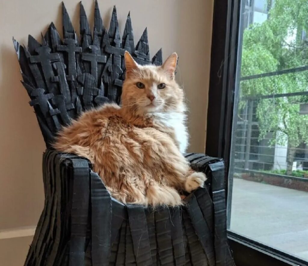 gatto trono di spade