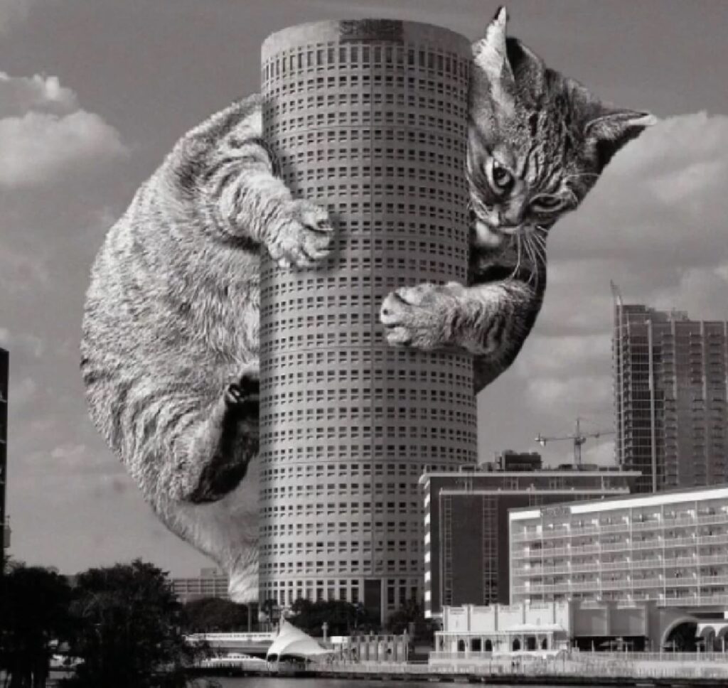 gatto sulla torre