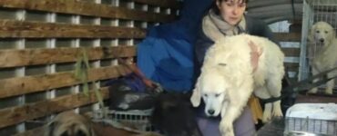 Due sorelle ucraine di nuovo insieme con tutti i loro animali