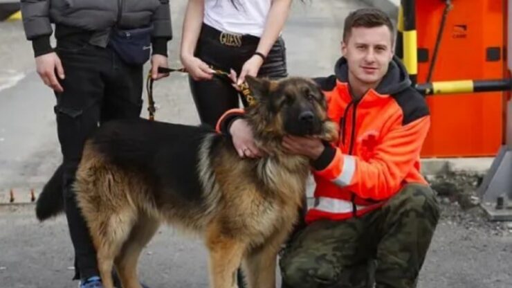 volontario fa adottare gli animali che salva in ucraina