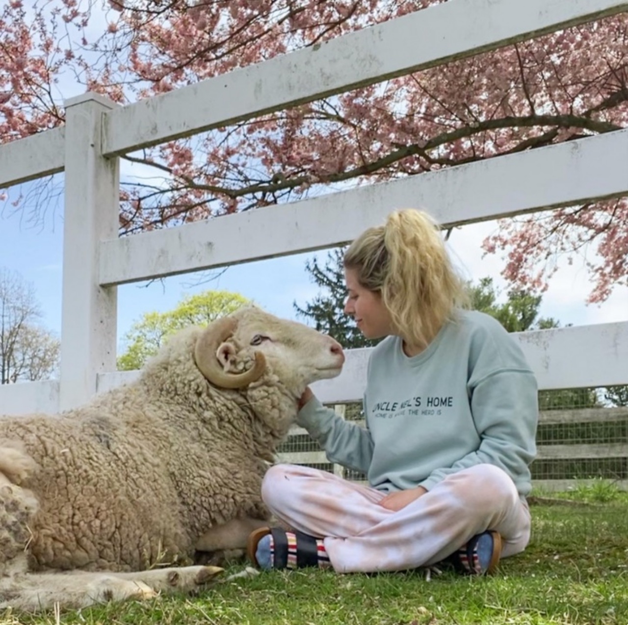 ragazza accarezza animale