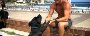 La storia di Dennis, il cane che ha conquistato un uomo speciale