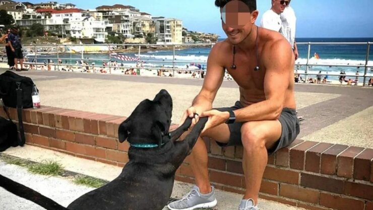 La storia di Dennis, il cane che ha conquistato un uomo speciale