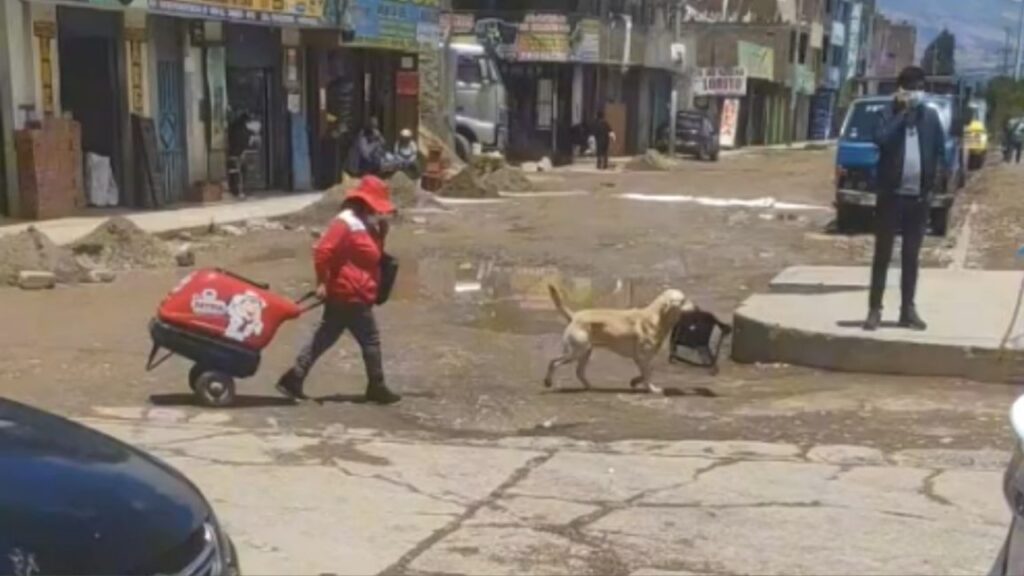 un cane aiuta la padrona