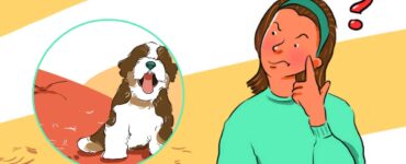 cucciolo senza pelo
