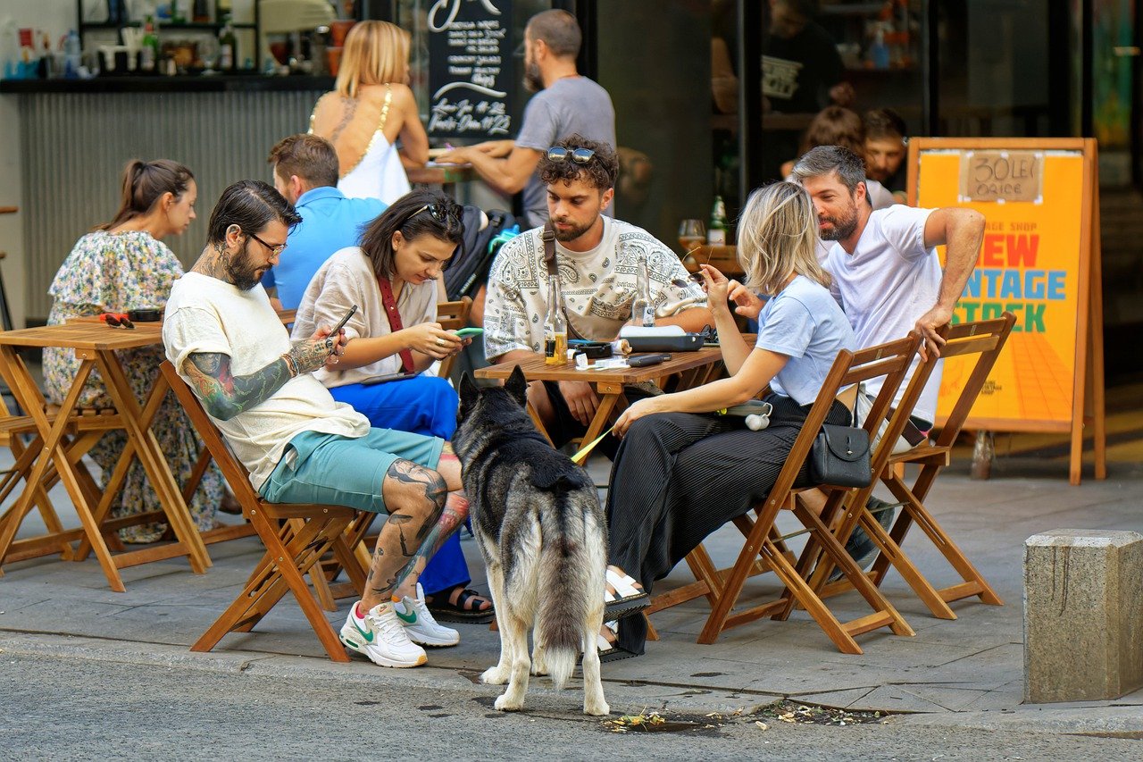 cane al ristorante