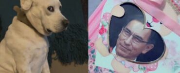 espressione divertente del cane