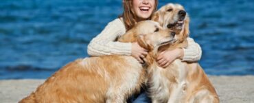 Secondo uno studio, i cani ignorano le persone che non piacciono ai loro padroni