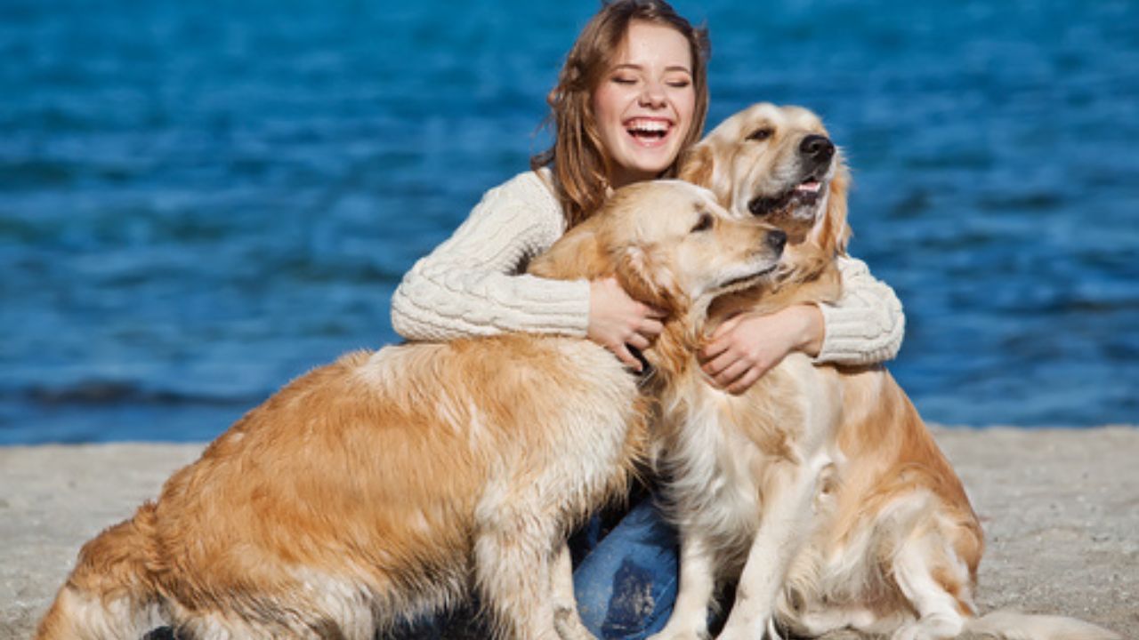 Secondo uno studio, i cani ignorano le persone che non piacciono ai loro padroni