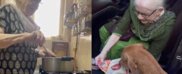 Nonna di 90 anni si alza ogni mattina presto per cucinare per i cuccioli randagi (VIDEO)