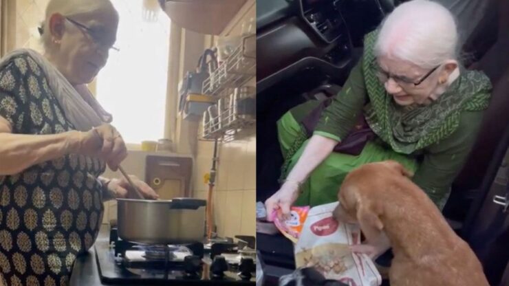 Nonna di 90 anni si alza ogni mattina presto per cucinare per i cuccioli randagi (VIDEO)