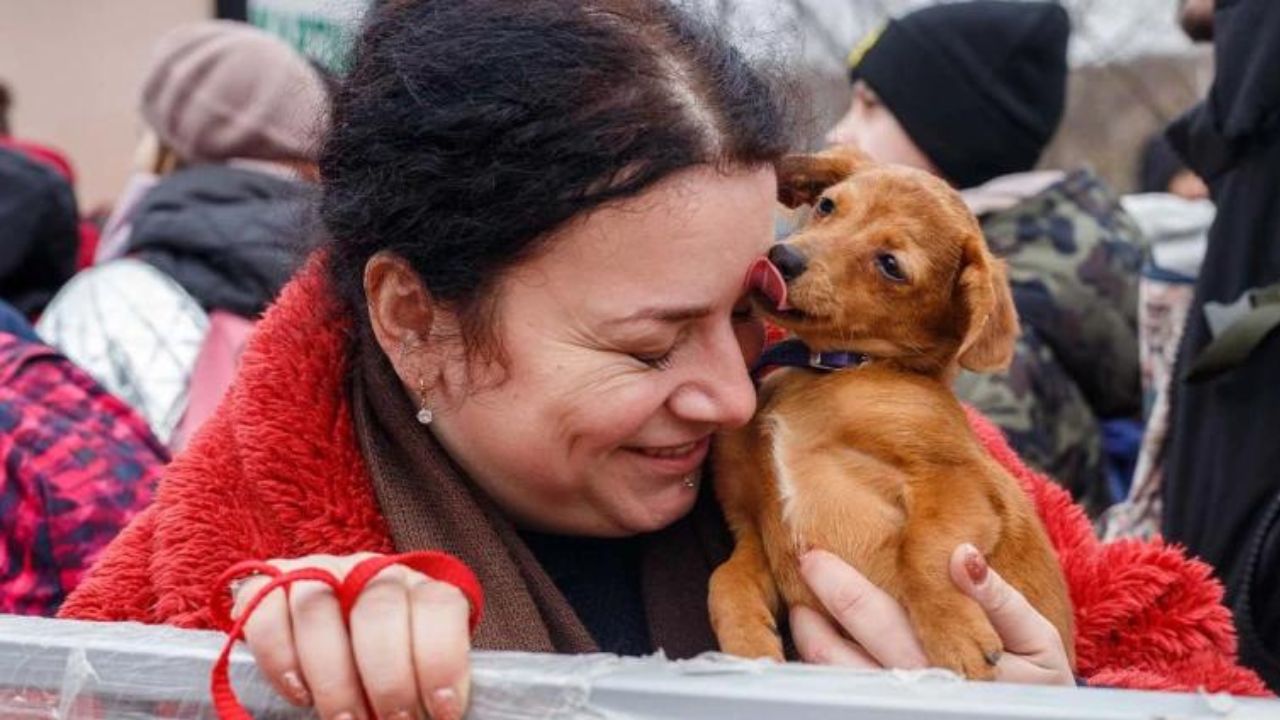 Istantanee di guerra che mostrano l'amore immenso per i propri cuccioli