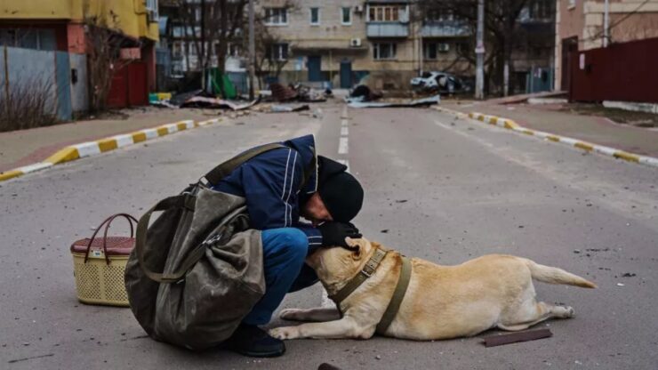 uomo si conforta con il cane