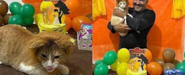 Non voleva avere animali in casa e ora addirittura organizza una festa per il compleanno del suo gatto
