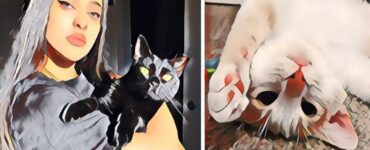 gatto amore verso di noi