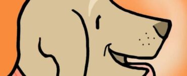 leccare faccia cane