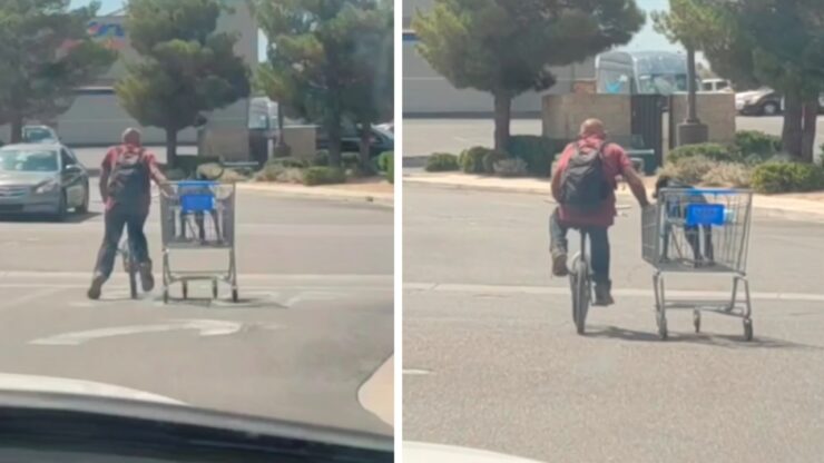 cane nel carrello