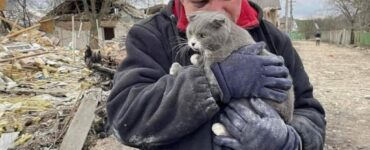 Ha perso la famiglia ma ha ritrovato il gatto