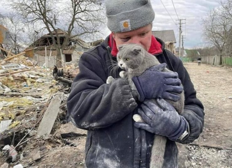 Ha perso la famiglia ma ha ritrovato il gatto