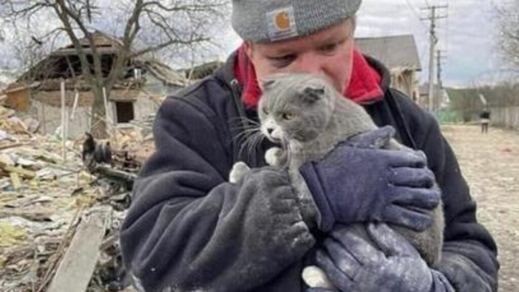 Uomo che ritrova il suo gatto tra le macerie