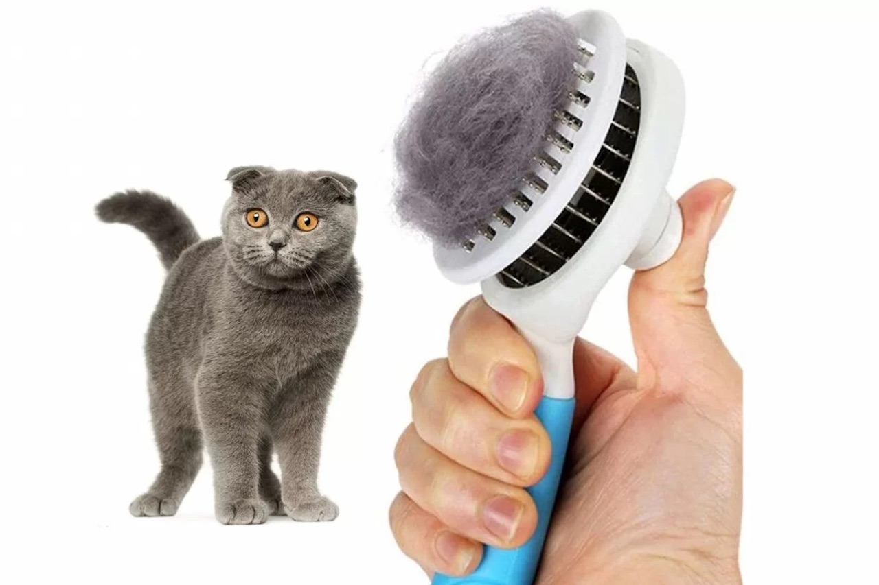pulizia del gatto