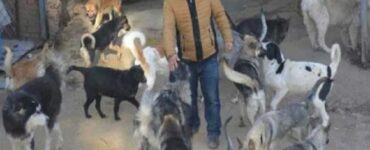 uomo spende tutta la sua fortuna per salvare cani dal macello