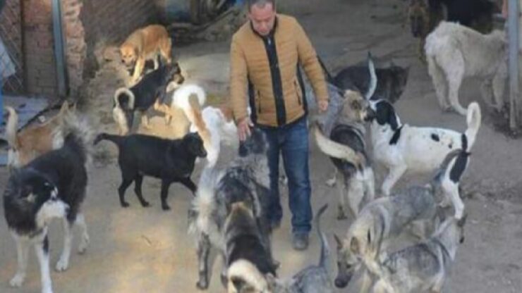 uomo spende tutta la sua fortuna per salvare cani dal macello