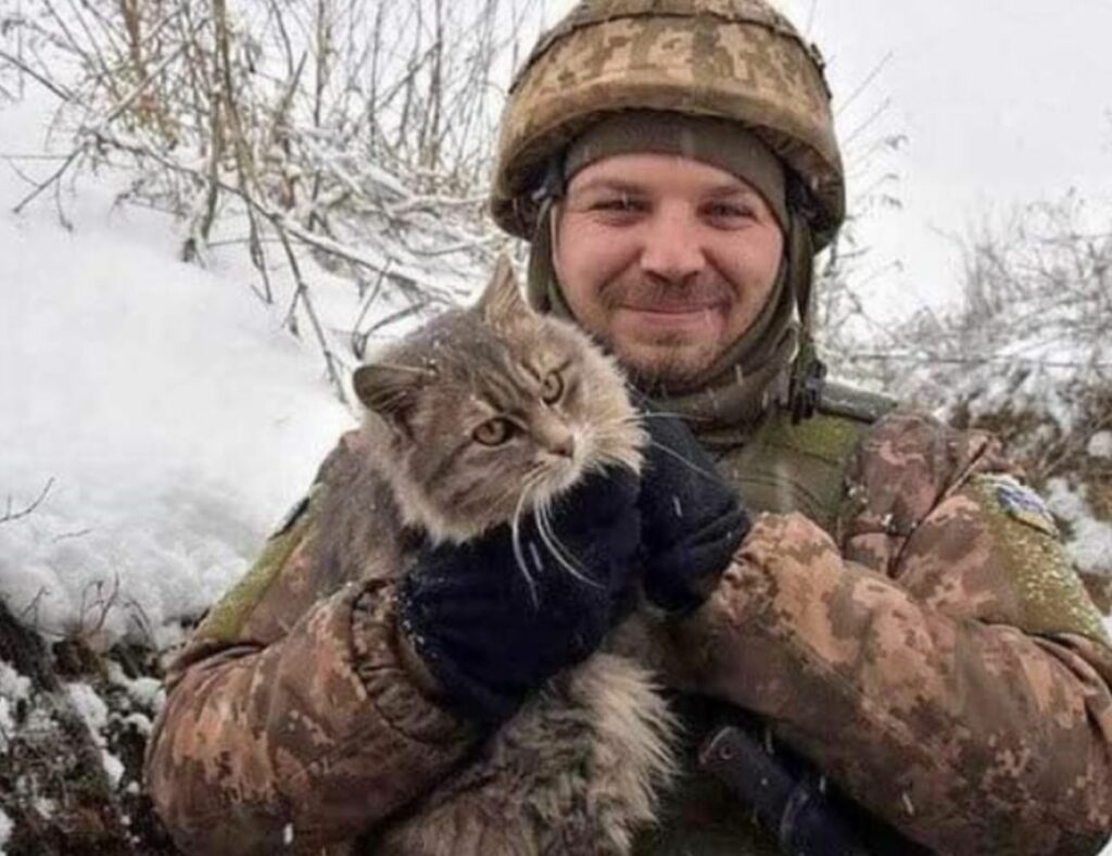 soldato con gatto