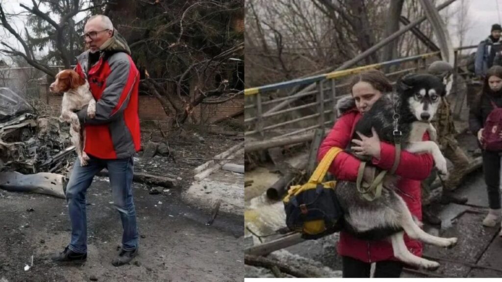 Ucraini scappano con i propri animali