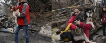 Ucraini scappano con i propri animali