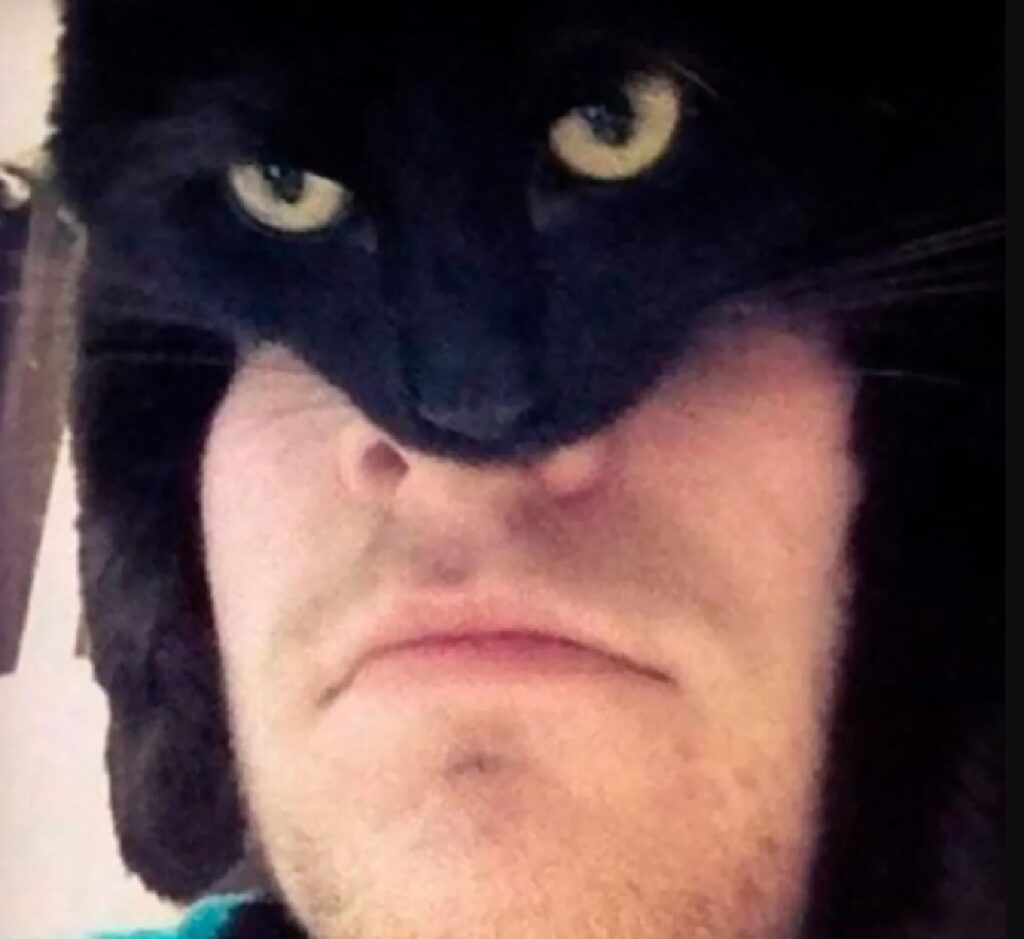 gatto come batman